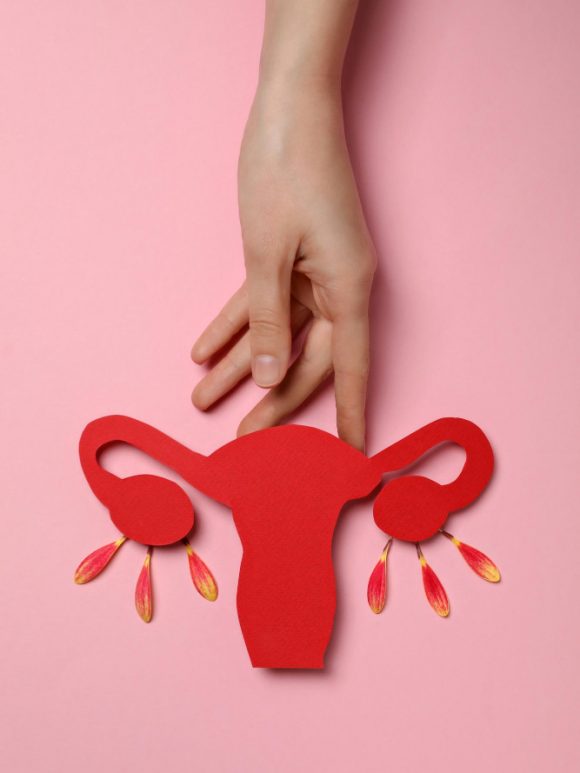 Ýumurtgalyklaryň kistasy barada toslamalar